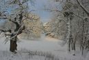 Wigmore snow scene Dec 2010